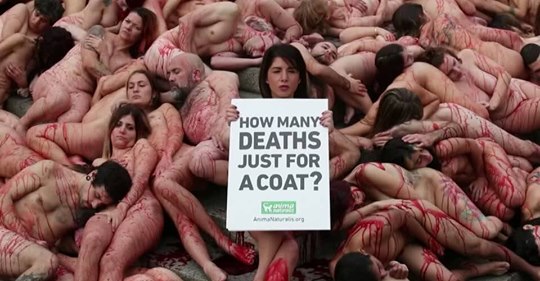 Nackte Haut und Kunstblut: Aktivisten zeigen vollen Körpereinsatz für den Tierschutz