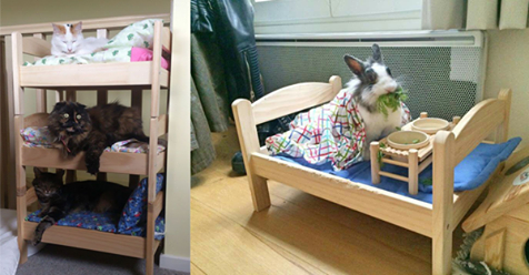10 originelle Möglichkeiten, um IKEA Duktig-Bettchen für Haustiere zu verwenden!