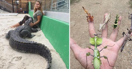15 Tierfreunde, die sogar Drachen zähmen könnten