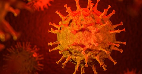 Kein Coronavirus?: Dieser Ländern haben keine Corona-Fälle gemeldet!