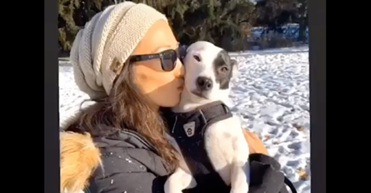 Frau hat Angst vor Hunden und adoptiert Hund mit Menschenangst
