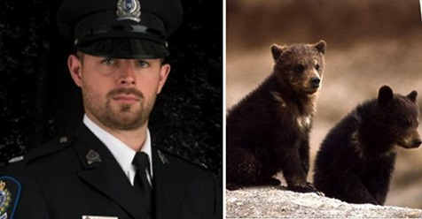 Beauftragter für Umweltschutz weigert sich, Bärenjungen zu töten und wird gefeuert – gewinnt vor Gericht