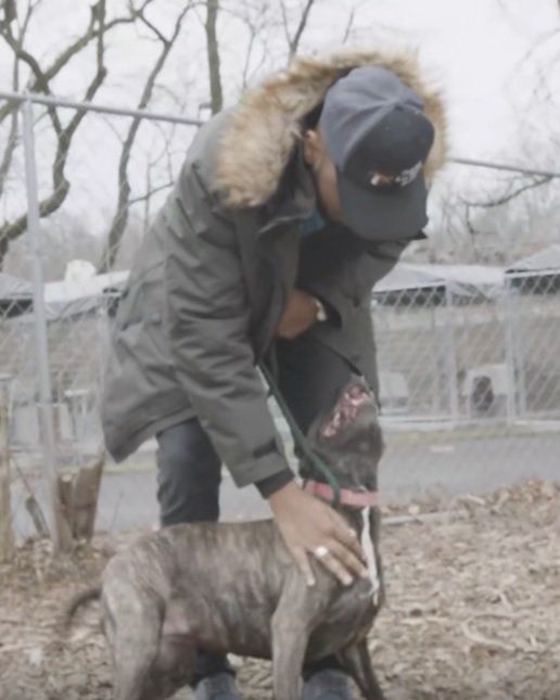 Blinder Hund, den niemand wollte, verbringt 6 Jahre im Tierheim - bis er eine Familie für die Ewigkeit trifft