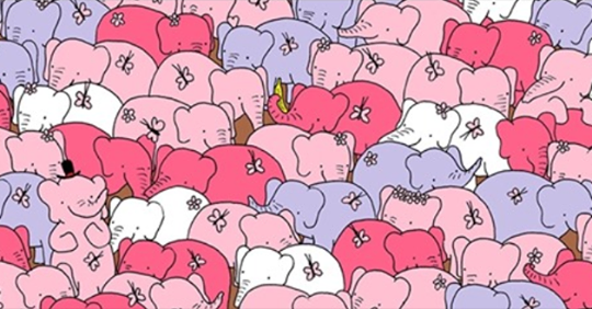 Nur 10 Prozent aller Menschen hat es richtig: Gelingt es Ihnen, das Herz unter den Elefanten zu finden …?