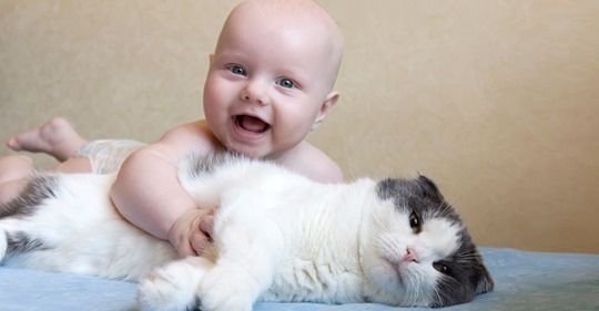 Katze gibt vor, Baby nicht zu mögen – und kuschelt aber heimlich mit ihm