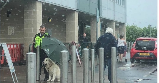 Security Mann schützt Hund vor Regen – die Szene rührt tausende Twitter User