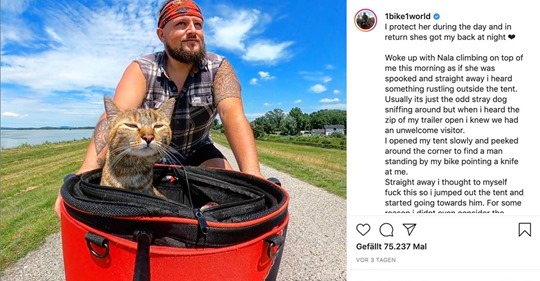 Mann nimmt streunende Katze auf und fährt mit ihr auf dem Fahrrad durch Europa