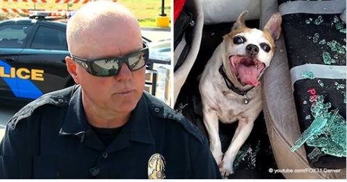 Der Polizist rettete einen Hund bei Hitze aus einem Auto