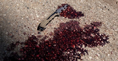 Schreckliches Messer Mord Drama in Schwechat: 55 Jährige tot