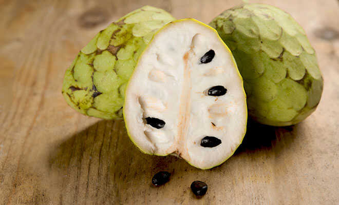 Cherimoya – Süße Frucht für Herbst und Winter