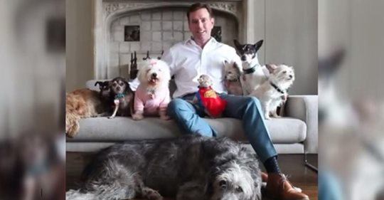 Ein Mann, der über den Verlust seines Hundes trauert, ging ins Tierheim und adoptierte ältere Hunde, die niemand haben wollte