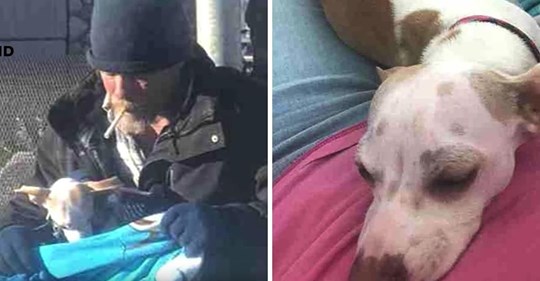 Frau schießt Foto von obdachlosem Mann, der sich um einen auf dem Highway zurückgelassen Hund kümmert, und kommt mit fast 6.350€ zurück