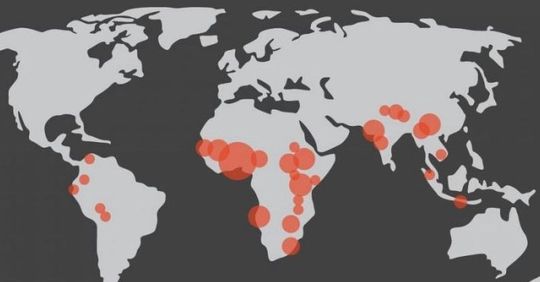 Forscher identifizieren die Hotspots zukünftiger Pandemien