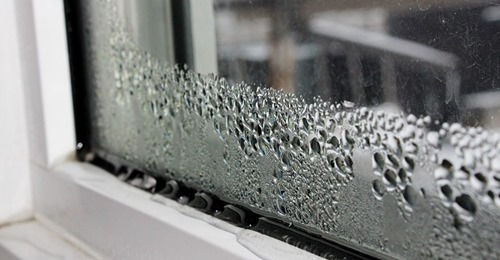 Beschlagene Scheiben: Was gegen Kondenswasser am Fenster hilft