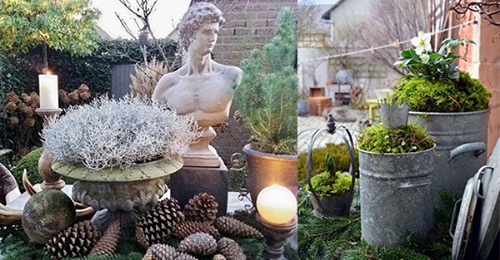 Wintergarten-Ideen, um Ihren Garten in den dunklen Tagen zum Leuchten zu bringen!