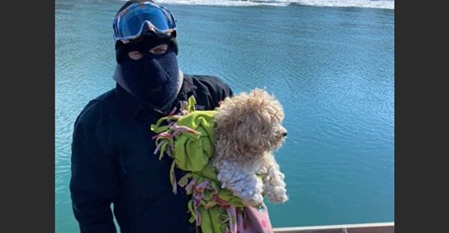 Hund war tagelang auf gefrorenem Fluss gefangen: „Alfonso“ nach vier Tagen gerettet