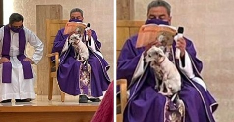 Ein Priester wird dabei fotografiert, wie er die Messe mit seinem Hund auf den Knien liest: Er möchte ihn nicht allein lassen