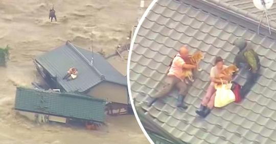 Japanisches Paar weigert sich seine Hunde loszulassen, als es während einer Flut auf dem Dach festsitzt
