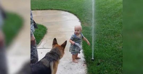 Süßes Baby hilft dem Deutschen Schäferhund mit der Angst vor Sprinkler