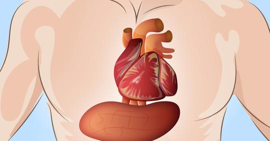 6 Symptome, die einen Monat vor einem Herzinfarkt auftreten
