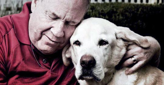 Mann gedenkt seinem Blindenhund, der ihn am 11. September aus dem World Trade Center rettete