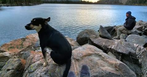 Freiwillige Helfer finden vermissten Hund, der fünf Tage allein in den Bergen überlebte