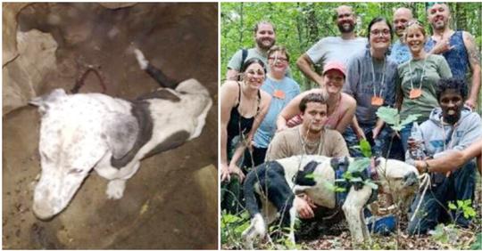 Höhlenforscher finden Hund, der in 9 Meter tiefen Grube feststeckt – kriechen runter, um ihn zu retten