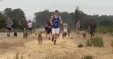 Highschool Laufteam nimmt Hunde aus dem örtlichen Tierheim mit auf ihre Morgenrunde