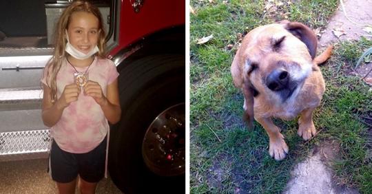 Ein elfjähriges Mädchen bemerkt, dass das Haus der Nachbarn brennt, und rettet den in den Flammen gefangenen Hund
