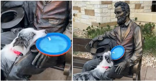 Hund versteht nicht, wieso Statue von Abraham Lincoln nicht mit ihm spielen möchte