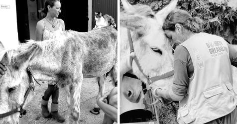 Spanierin beherbergt auf ihrer Farm 22 misshandelte Esel