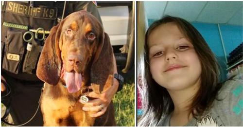 Heldenhafter K9 Polizeihund spürt entführtes 6 jähriges Mädchen auf – erschnupperte sie über den Duft