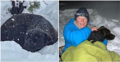 Retter finden entlaufenen Hund unter meterhohem Schnee begraben, und bringen ihn nach monatelanger Trennung zu seinem Besitzer