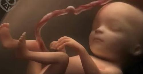 Dieses Video, das von einem Krankenhaus gemacht wurde, zeigt die 9 Monate Entwicklung eines Babys… WAUW!