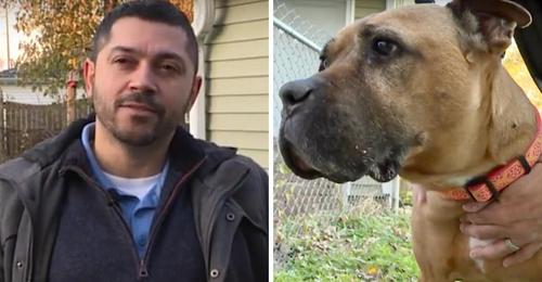 Ein Mann adoptiert einen 10-jährigen Hund, der Krebs im Endstadium hat – Ich konnte sie einfach nicht zurücklassen