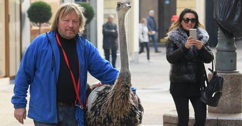 Kurioser Ausflug: Mann läuft mit Riesenvogel durch München