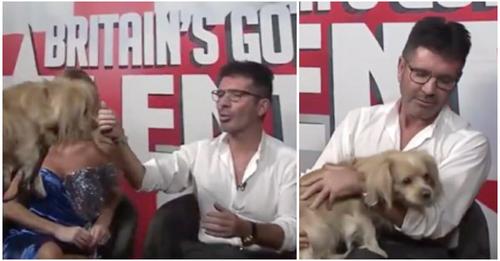 TV Moderator Simon Cowell wird mit besonderem Gast überrascht: Hund, den er vor Schlachthaus rettete