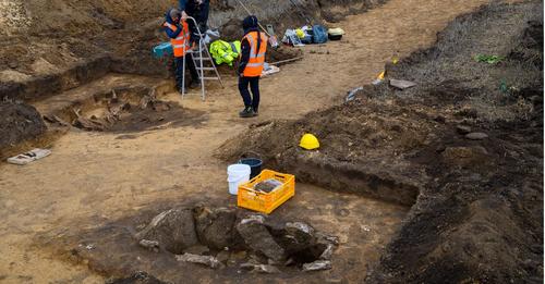 Sachsen-Anhalt: 4800 Jahre altes Grab nahe Halberstadt gefunden