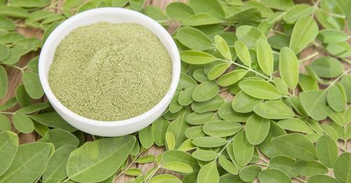 Moringa Oleifera: Wie gesund ist der „Wunderbaum“?