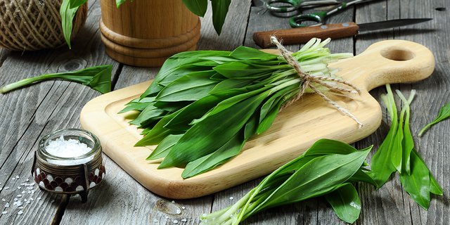 Bärlauch: So gesund ist der Frühlingsbote