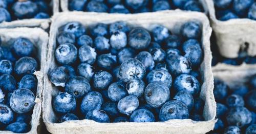 Unglaublich! So verwandeln Blaubeeren Ihren Körper innerhalb einer Woche – Unbedingt probieren!