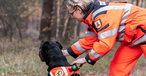 Rettungshunde im Einsatz bei der Polizei: 'Nur 15 bis 20 Prozent der Einsätze enden mit einem Fund'