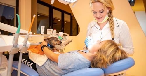 Erste Zahnarztpraxis in Deutschland bietet Behandlung mit Therapiehunden an