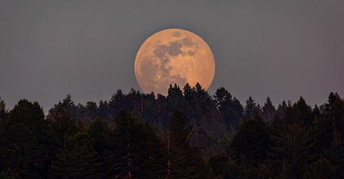 Vollmond im Juli 2023: Er führt die Sternzeichen jetzt zu großem Erfolg!