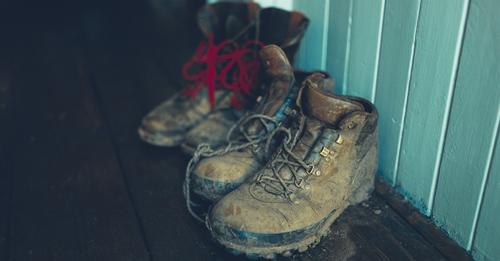 Unsichtbare Gefahr: Vor der Heimreise aus dem Urlaub unbedingt Schuhe putzen!