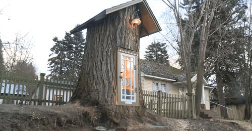 Frau weigert 110-jährigen Baum zu fällen… Was für eine coole Idee!