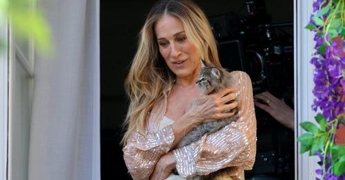 'And Just Like CAT!' Sarah Jessica Parker adoptiert ihre Serien Katze