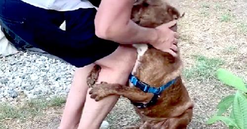 Dieser Hund umarmt immer sein Herrchen: Hier ist der Grund für diese liebevolle Geste
