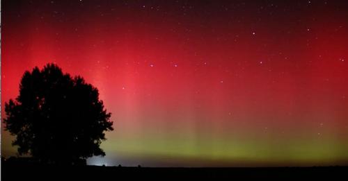 Polarlichter leuchten am Nachthimmel über Sachsen Anhalt