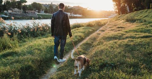 13-Jähriger samt Hund beim Gassigehen entführt – Mutter ortet ihn per Handy